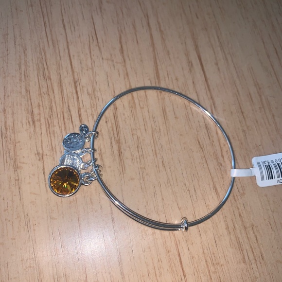 ALEX & ANI BRACELET - Picture 4 of 6